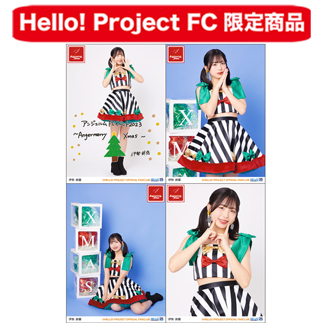 ホーム :: Hello! Project オフィシャルファンクラブショップ :: FCイベント :: アンジュルムFCイベント2023  ～Angermerry Xmas～ :: アンジュルムクリスマスイベント2023 ソロ2L判生写真4枚セット【伊勢鈴蘭】