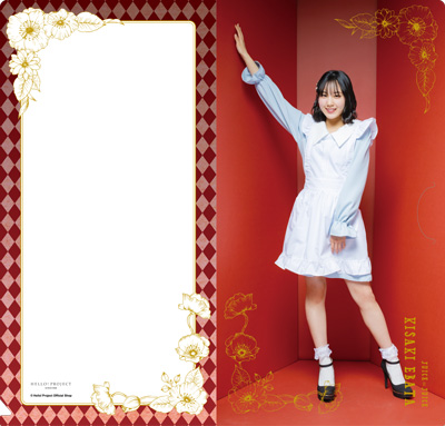 江端妃咲(Juice=Juice)『スリムクリアファイル』〔24.06〕