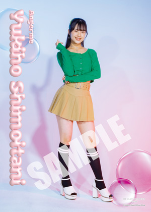 【即納&大特価】 下井谷幸穂(アンジュルム)『ハロプロまるわかりプロフィール帳』 机上用品・文具収納