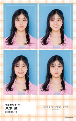 【残りわずか】 八木栞(つばきファクトリー)『証明写真風ステッカー』 その他