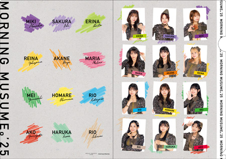 モーニング娘。　クリアファイル　ブロマイド　300点以上　まとめ売り　ハロプロ モーニング娘。 クリアファイル ブロマイド 300点以上 まとめ売り ハロプロ