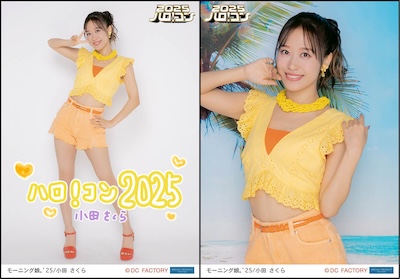 小田さくら ピンナップポスター 約130枚セット 小田さくら ピンナップポスター 約130枚セット 小田さくら ピンナップ