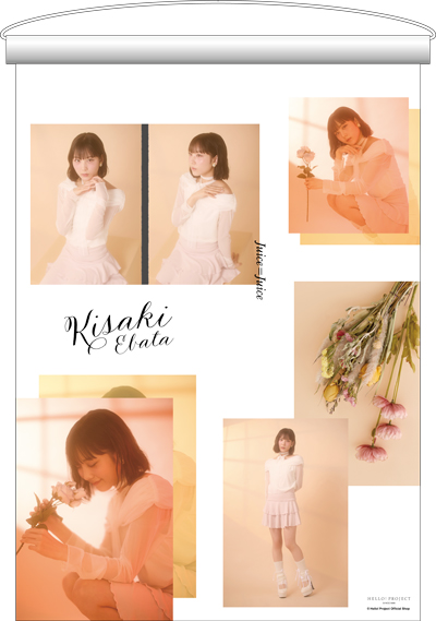 モーニング娘。クリアポスター アイドル モーニング娘。クリアポスター アイドル モーニング娘。クリアポスター