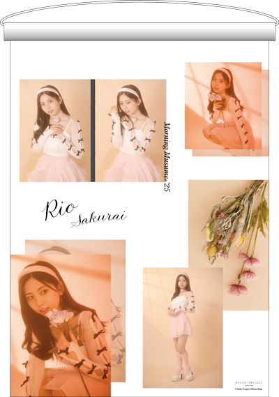 モーニング娘。クリアポスター アイドル aff42504e270051bed8a5f771a96ed