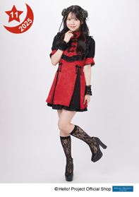 OCHA NORMA 米村姫良々 タテ長クッション OCHA NORMA 米村姫良々 タテ長クッション