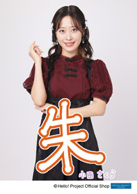 モーニング娘。'25 小田さくら 羽賀朱音 バースデーイベント DVD 2019 小田さくら(モーニング娘。'25)「羽賀朱音Just do it 勇敢だ！」 L判 1