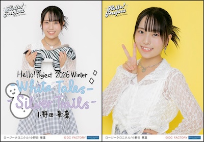 【新品未開封】Hello! Project 2005 Winter 2枚セット ☆-☆ ハロプロ モーニング娘 クリアーファイル 【新品/未使用】 販促