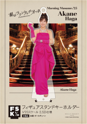 ★モーニング娘。 キーチェーン★ モーニング娘。× カリバディクス / アクリルキーチェーンコレクション