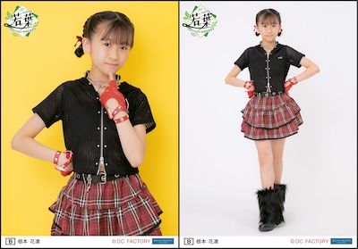 イベント :: Hello! Project 研修生発表会 2026 6月 ～若葉～ :: Hello