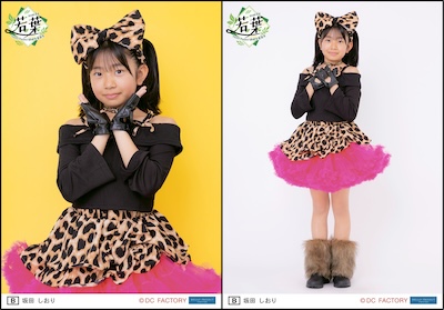 イベント :: Hello! Project 研修生発表会 2026 6月 ～若葉～ :: Hello