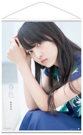 2939 モーニング娘。 飯窪春菜 生写真 24枚セット 2939 モーニング娘。 飯窪春菜 生写真 24枚セット 2939 モーニング娘