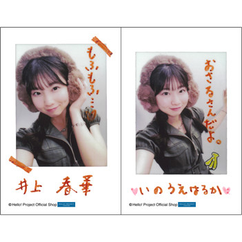 井上春華(モーニング娘。'26)「ひなフェス2026 臨時店販売 チェキ