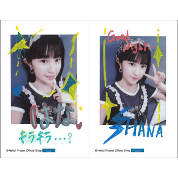 島川波菜(ロージークロニクル)「ひなフェス2026 臨時店販売 チェキ