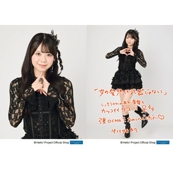 OCHA NORMA 米村姫良々 タテ長クッション OCHA NORMA 米村姫良々 タテ長クッション