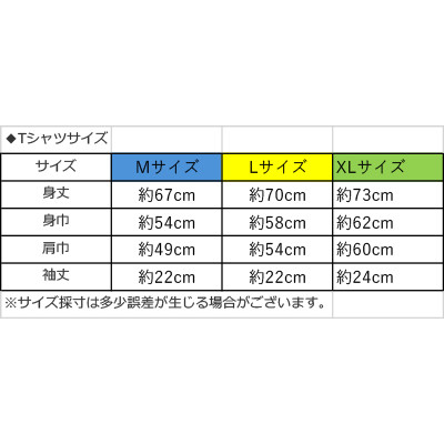 鈴木愛理 ライブパスポート ピンバッジ 鈴木愛理 ライブパスポート
