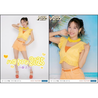 【限定値下】小田さくら ピンナップポスター セット 限定値下】小田さくら ピンナップポスター セット