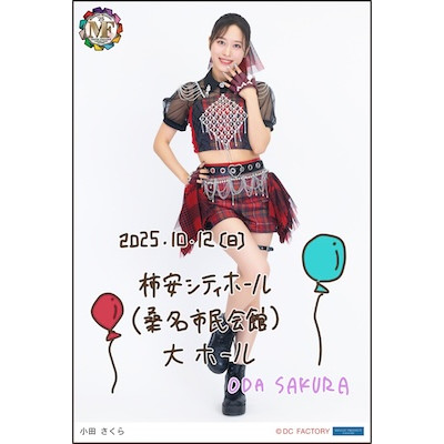 モーニング娘。 コンサート ツアー 他 12枚セット モーニング娘。'24 コンサートツアー春MOTTO MORNING MUSUME