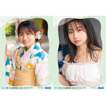 井上春華(モーニング娘。'24)『写真集「はるかぜ」A4クリア