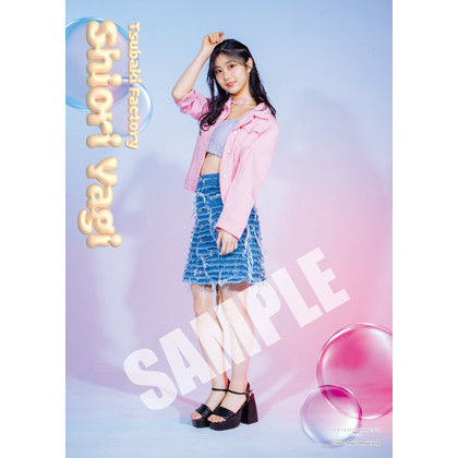 オールマンゲキ プロフィール帳 プロフィール 楽天市場】プロフィールブック プロフィール帳 SKY MEMORY