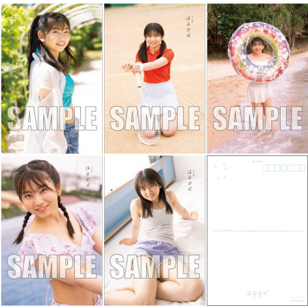 ふゆにゃん 井上春華 モーニング娘 日本ハムファイターズコラボ モーニング娘。'24×北海道日本ハムファイターズコラボ 井上春華