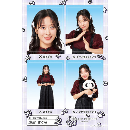小田さくら(モーニング娘。'25)『証明写真風ステッカー NGバージョン』