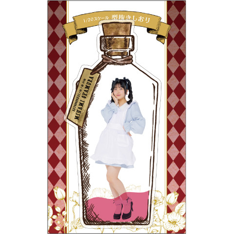 奈々見 沙織 タレント 初姫 しおり [DVD] : ななみしおり 美波