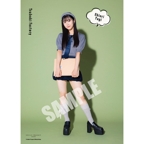 プロフィール帳 8 2025 プロフィール帳バインダー・未記入シートセット