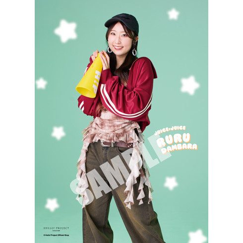 段原瑠々(Juice=Juice)『ハロプロまるわかりプロフィール帳』〔26.03〕