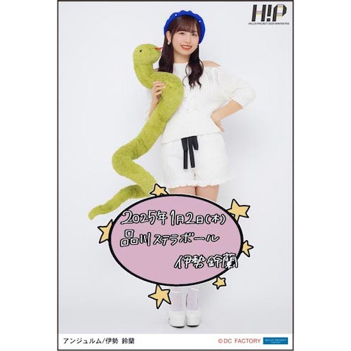 公式 イベント 1/2日付入りソロA5ワイドサイズ生写真【伊勢鈴蘭】 Fes.「各」/「合」 Winter 2025  Project 【期間限定受注】Hello! :: Fes.「各」/「合」 Winter 2025 Project Hello! :: ジャングルジム