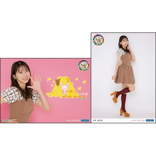 モーニング娘。 コンサート ツアー 他 12枚セット イベント :: モーニング娘。'25 コンサートツアー秋 ～Movin