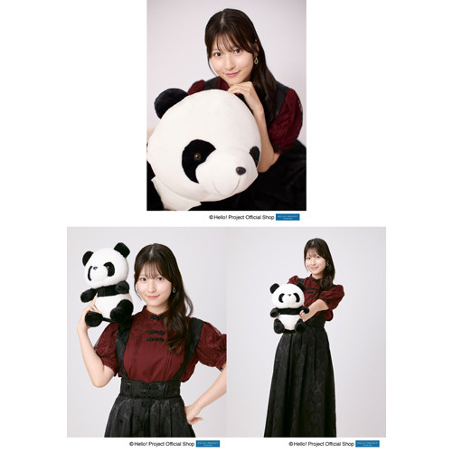 7235 モーニング娘。 北川莉央 生写真 3枚セット 7235 モーニング娘。 北川莉央 生写真 3枚セット 7235 モーニング娘