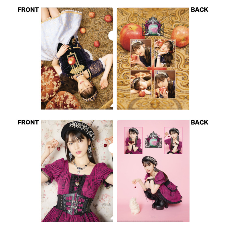 SAYUMINGLANDOLL DVD 道重さゆみ 4枚セット 道重さゆみDVD「SAYUMINGLANDOLL～BIRTHDAY LIVE 2022～」